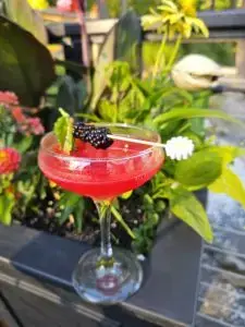 Madrona Blackberry Tangle