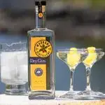 Madrona Dry Gin Martini