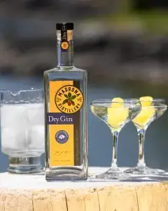 Madrona Dry Gin Martini